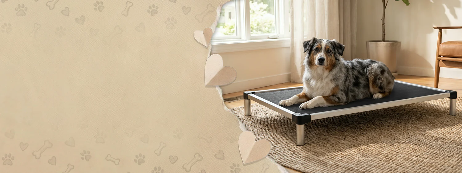 Tough Beds for Tough Dogs