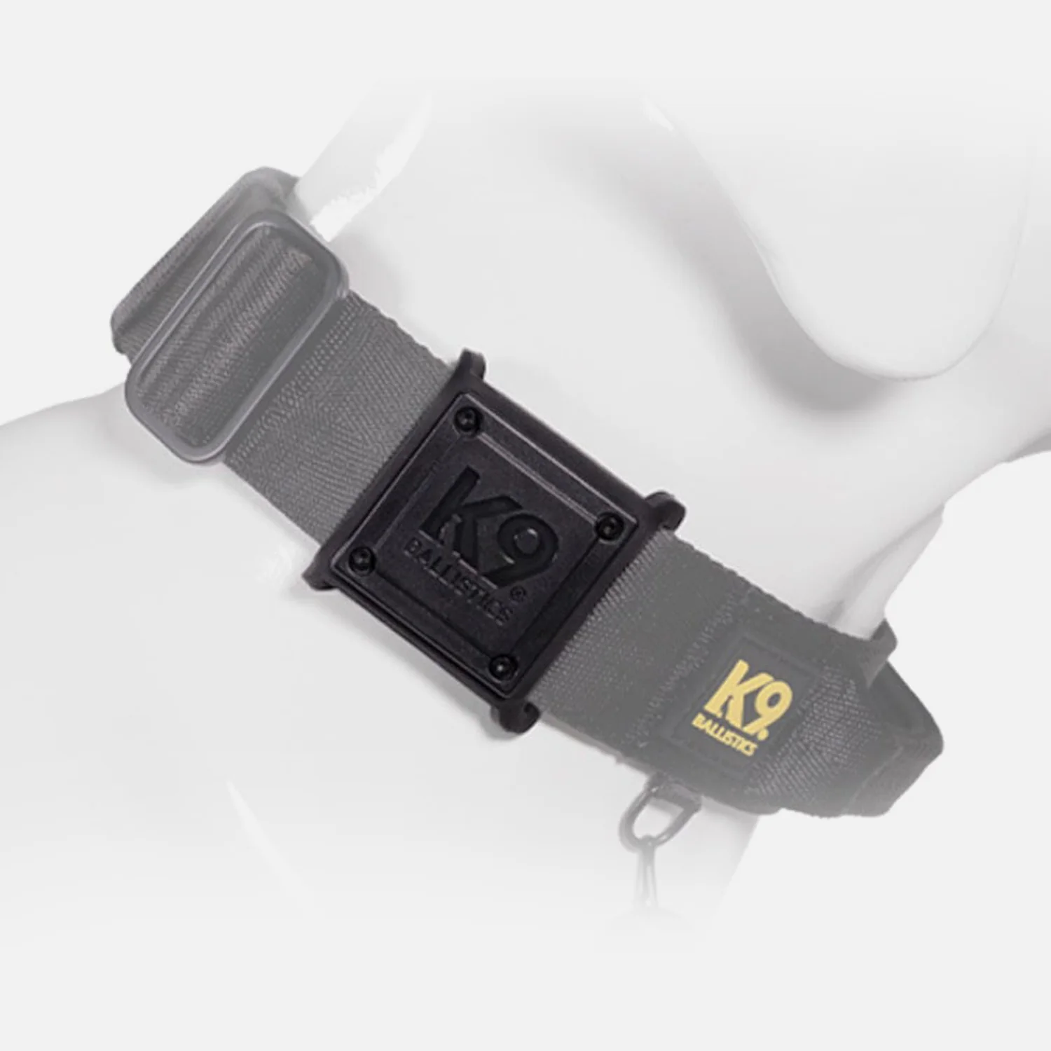 Leashes, Collars & Harnesses